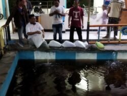 Keren, Bacaleg PKS Kota Semarang Bikin Program Ekraf Melalui Budidaya Ikan Lele